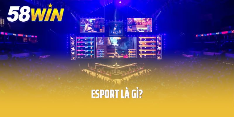 Esport Là Gì? Khám Phá Thế Giới Thể Thao Điện Tử Đầy Mê Hoặc