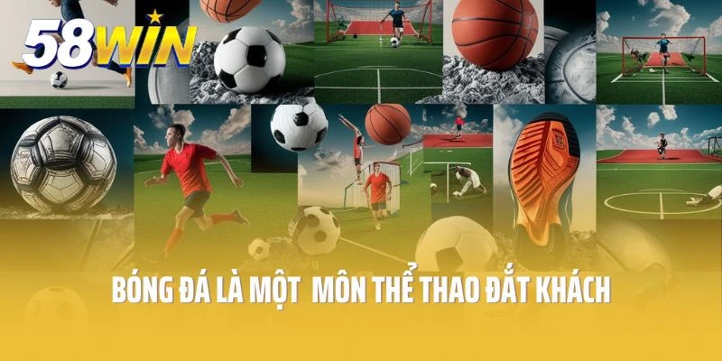 Bóng đá là một trong những môn thể thao đắt khách tham gia cá cược